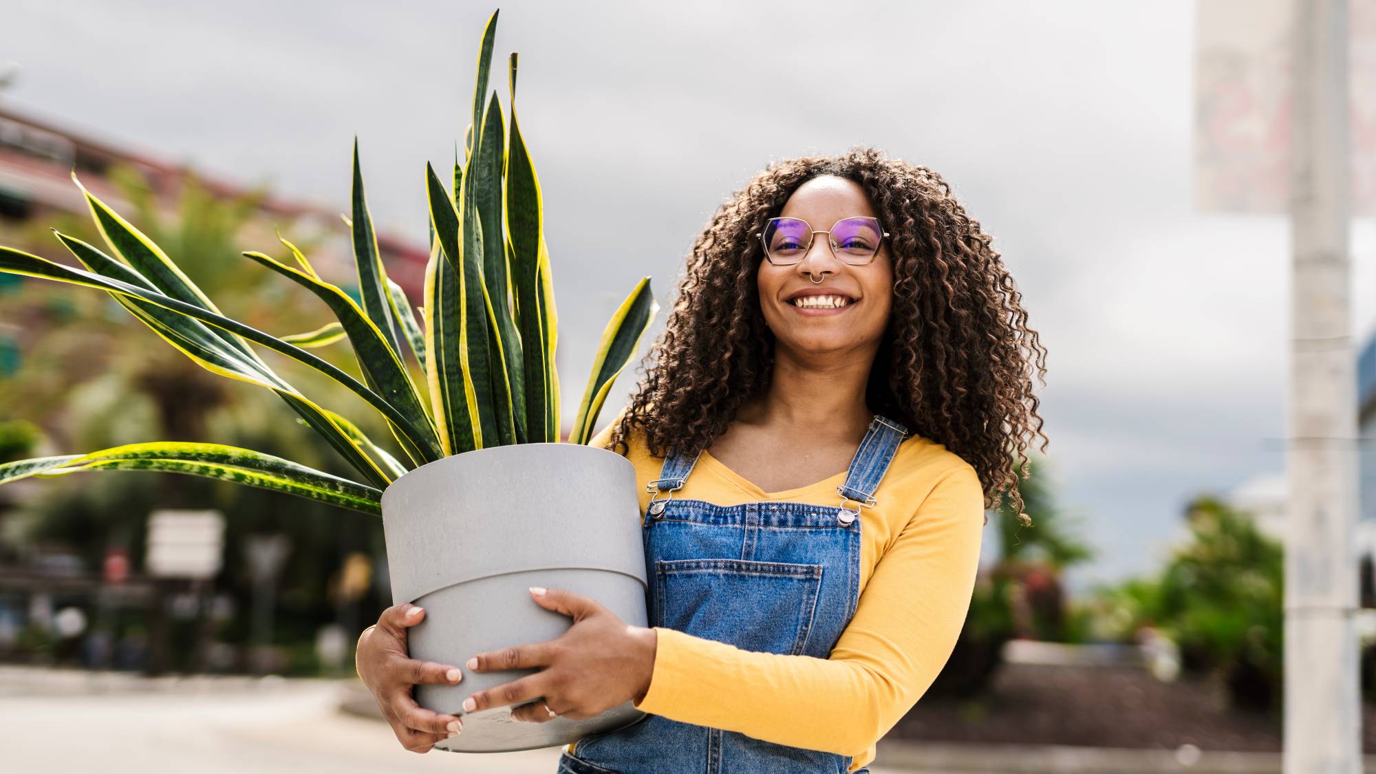 A smiling woman carrying a potted snake plant outdoors