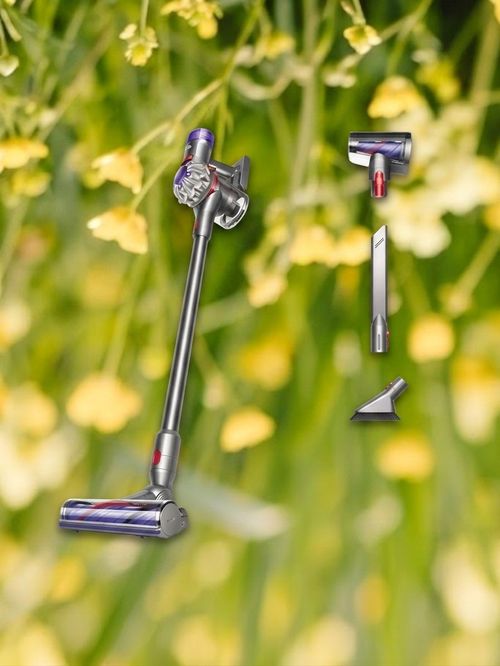 Dyson V8 Plus Cordless Vacuum