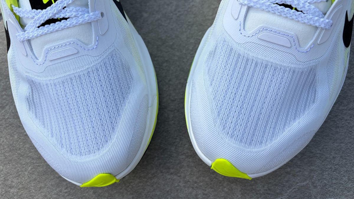 Nike Pegasus Plus 2