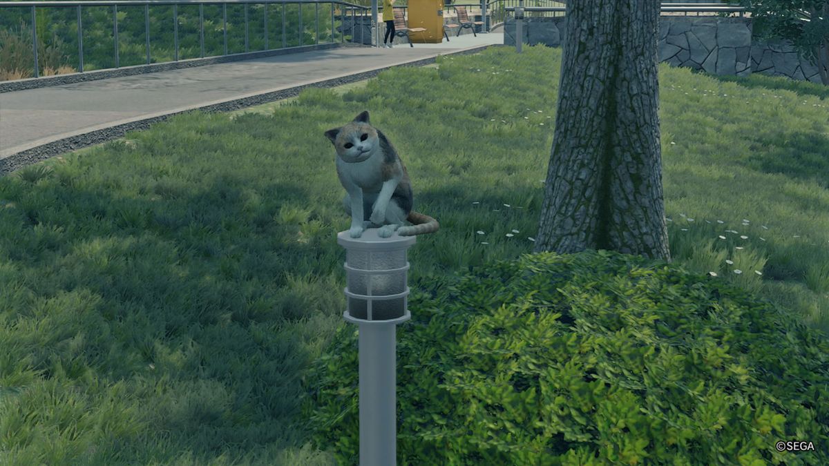 How to find all the Yakuza Like a Dragon missing cats GamesRadar+