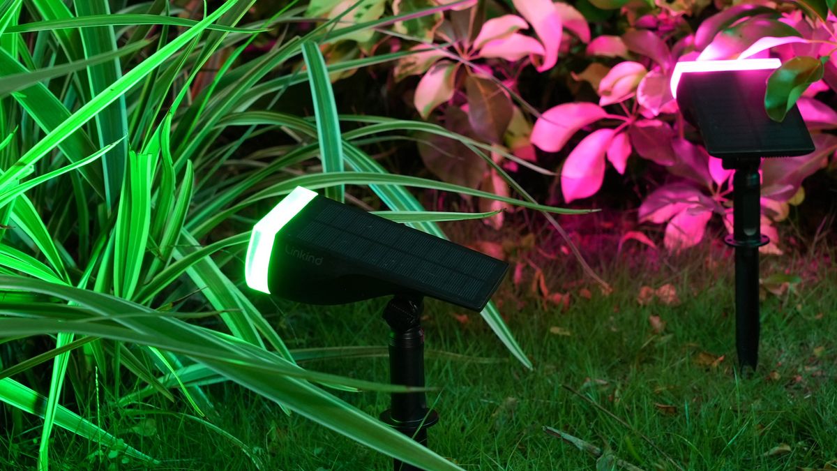 Are solar lights bad for your plants? Here’s what the experts say