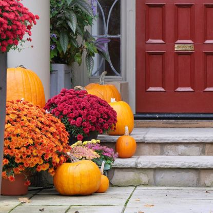 potted mums and pumpkins on front porch
