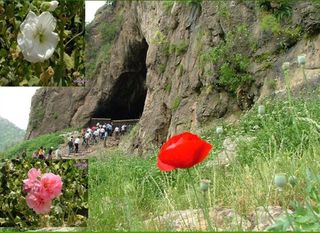 Shanidar Cave and the flowers that grow beside it today.