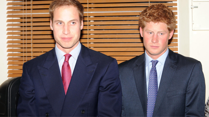 Prince William and Prince Harry attend a reception to mark the launch of the Henry Van Straubenzee Memorial Fund on January 8, 2009 in London, England.