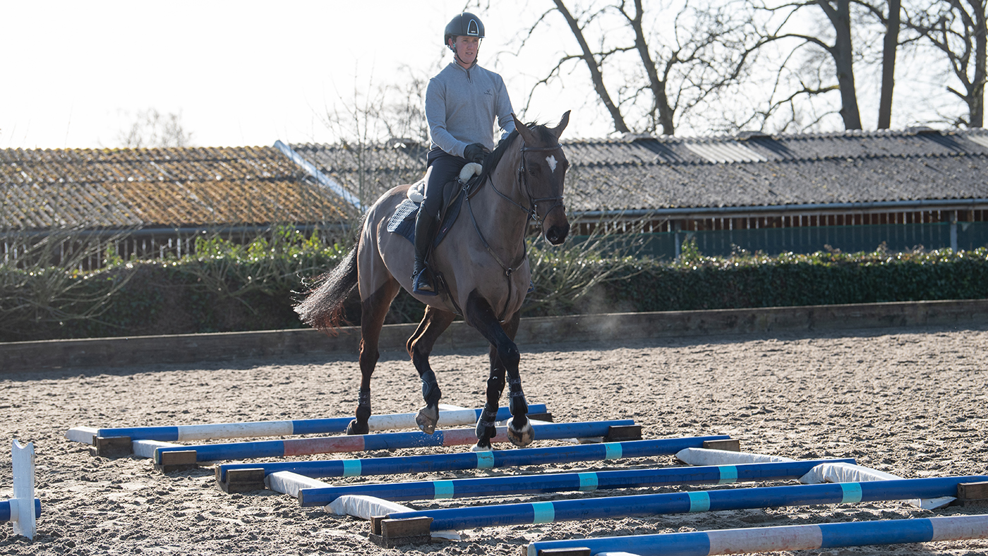 Tom McEwen rides over trotting poles at his base on board Brookfield William.