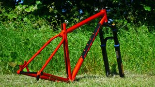 Cotic SolarisMAX frameset pictured from behind