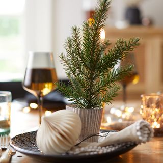 Festive table decoration with mini trees