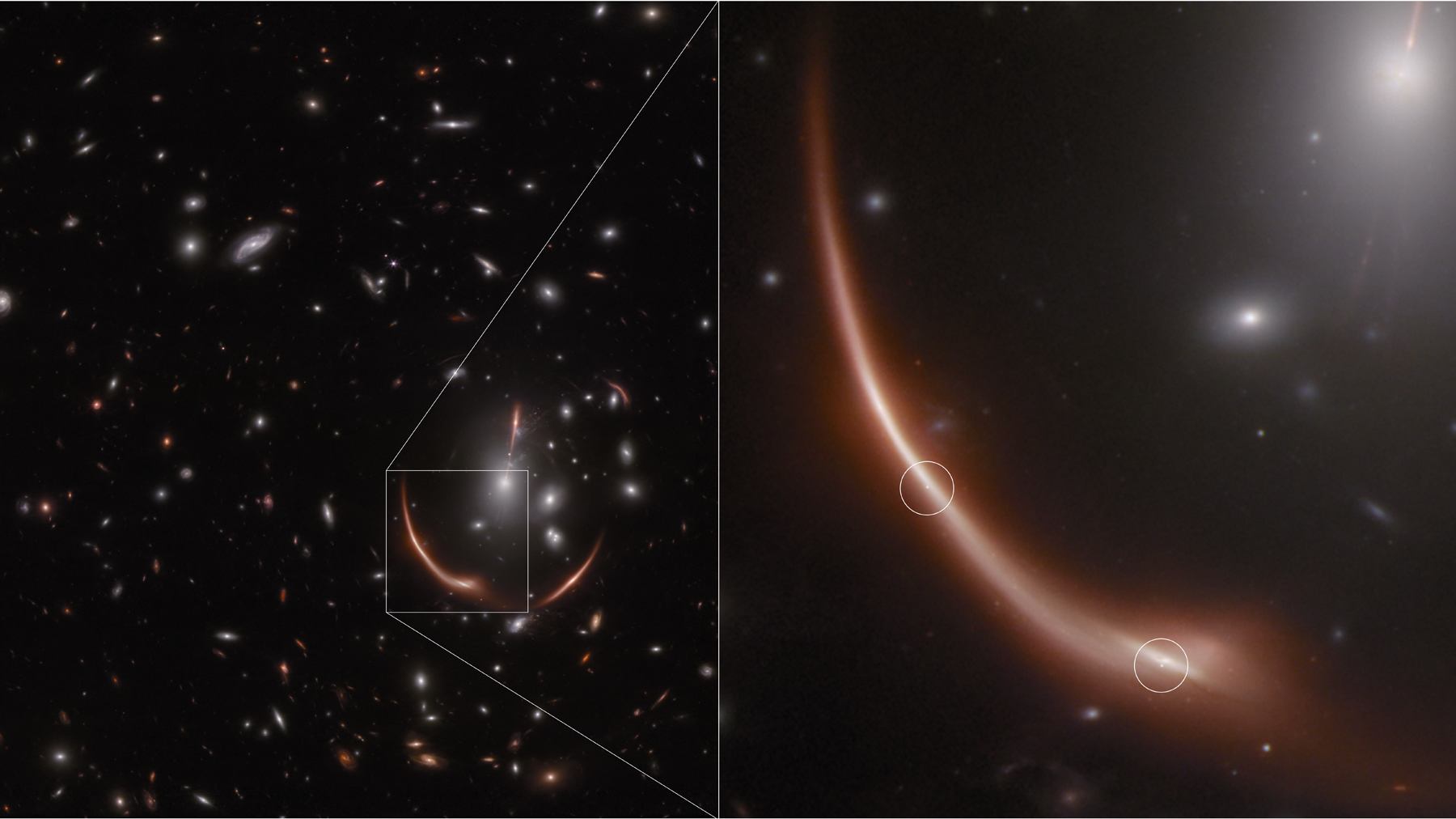 Warped supernova spotted by James Webb Space Telescope could settle a longstanding debate Space