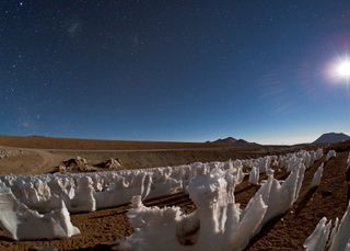 These bizarre ice and snow formations are known as penitentes (Spanish for 'penitents'). They are illuminated by the light of the Moon, which is visible on the right on the photograph. On the left, higher in the sky, the Large and Small Magellanic Clouds can be faintly seen, while the reddish glow of the Carina Nebula appears close to the horizon on the far left. Photo by ESO Photo Ambassador Babak Tafreshi.
