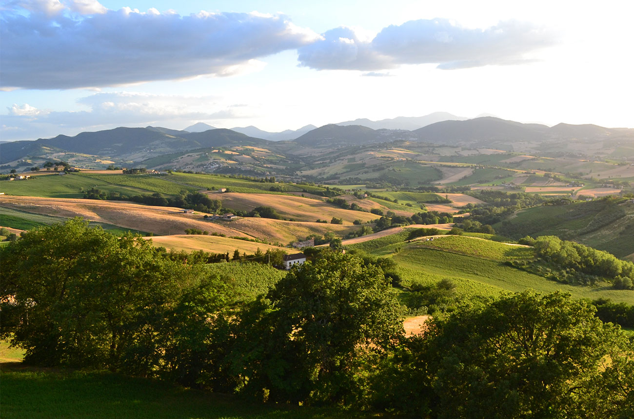 Sartarelli landscape
