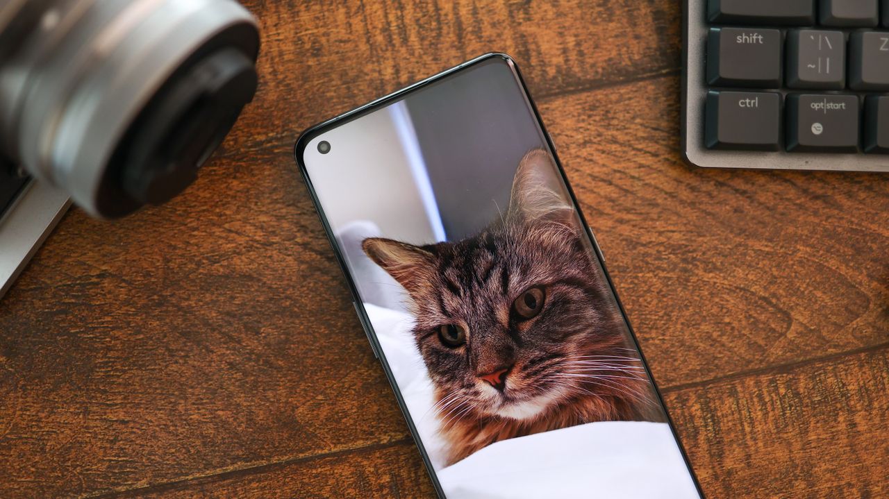 A photo of the OnePlus 11 smartphone