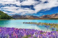 colorful lake