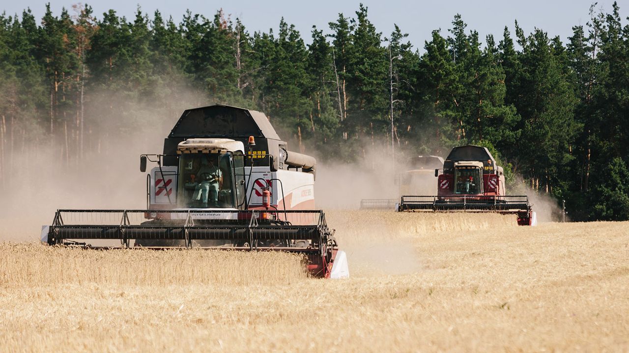 Harvesting wheat in Kharkiv region, Ukraine