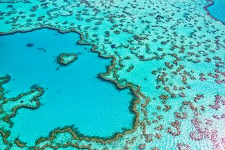 Heart Reef in the Whitsundays, Great Barrier Reef