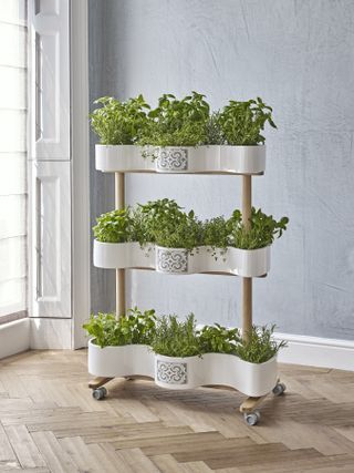 Muchiri’s Herbal Wardrobe, a portable herb garden which includes the patterns designed by Toru Kaizawa impressed on porcelain vessels