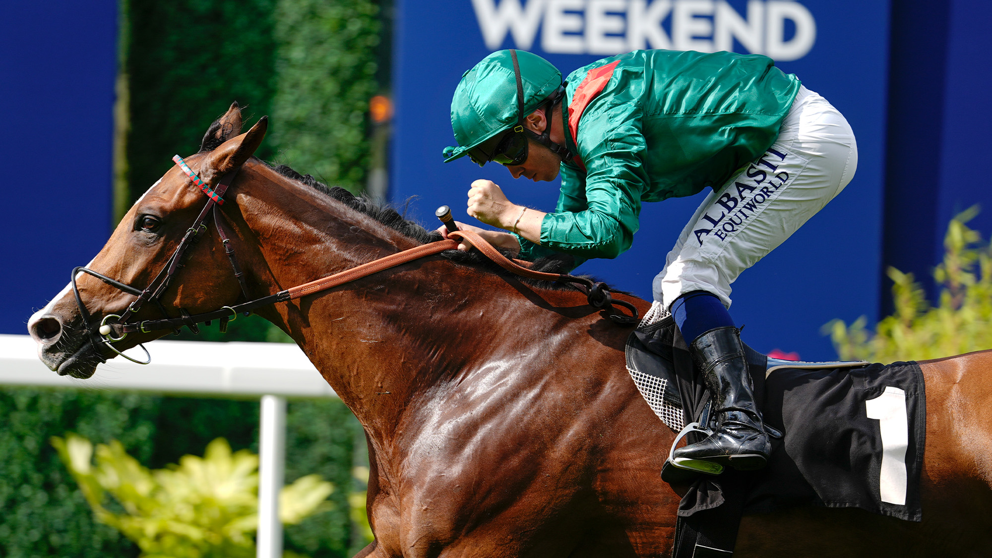 Close up of Mickael Barzalona riding Calandagan as they win The King George VI And Queen Elizabeth Stakes at Ascot Racecourse