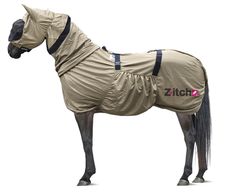 Rug_Z-itch.jpg
