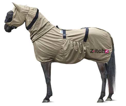Rug_Z-itch.jpg