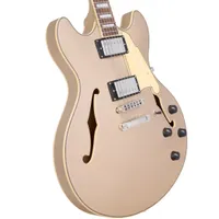 D&rsquo;Angelico Premier DC XT