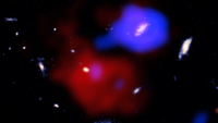 The Red Poatato galaxy MQN01 J004131.9-493704