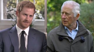 Prince Harry on Harry & Meghan and King Charles III in BBC interview.