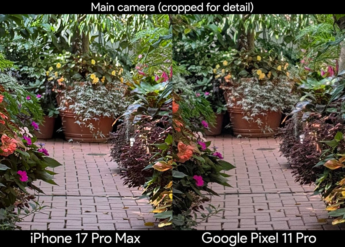 Comparing two photos of plants in a greenhouse between the iPhone 17 Pro Max and Google Pixel 11 Pro