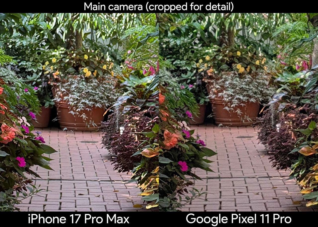 Comparing two photos of plants in a greenhouse between the iPhone 17 Pro Max and Google Pixel 11 Pro