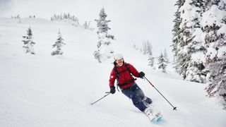 A skier in a red jacket in the backcountry