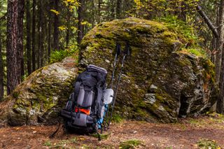 A hiking backpack leans against a wooded overhang.