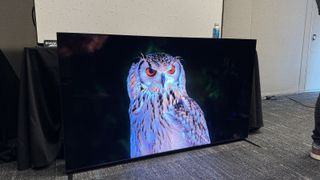 The Sony Bravia 9 displaying an image of an owl