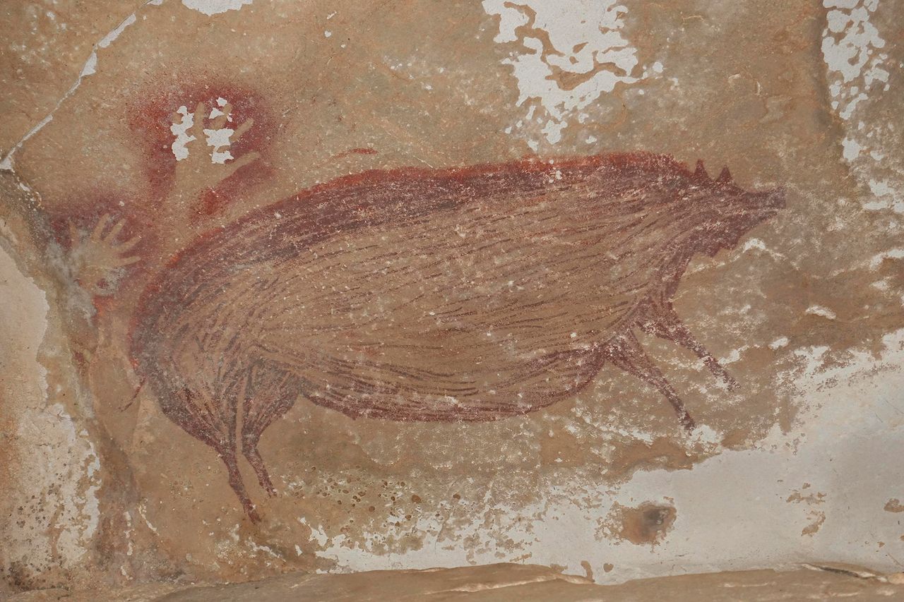 Sulawesi Warty Pig, 43,500BC, 4½ft wide, by an unknown artist, Leang Tedongnge cave, Sulawesi island, Indonesia.