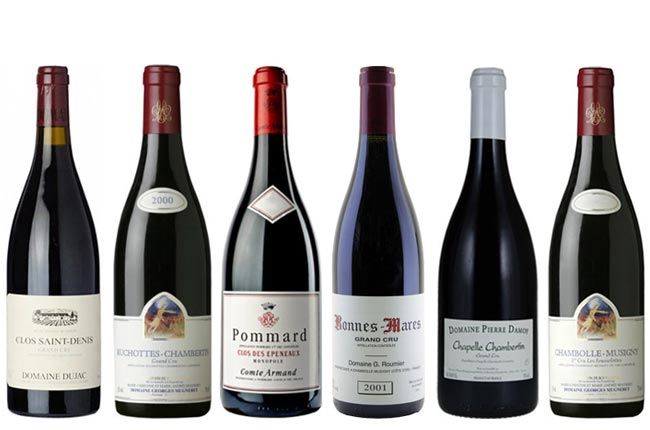 m*z様 CHATEAU DE POMMARD 2001 赤ワイン Our Burgundy Wines - Château de Pommard | Official Site - Château