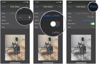 How to print photos from the Photos app on iPhone and iPad by showing steps: Tap the + and - buttons to adjust number of copies, select whether you want color or black & white, and paper size, then tap Print