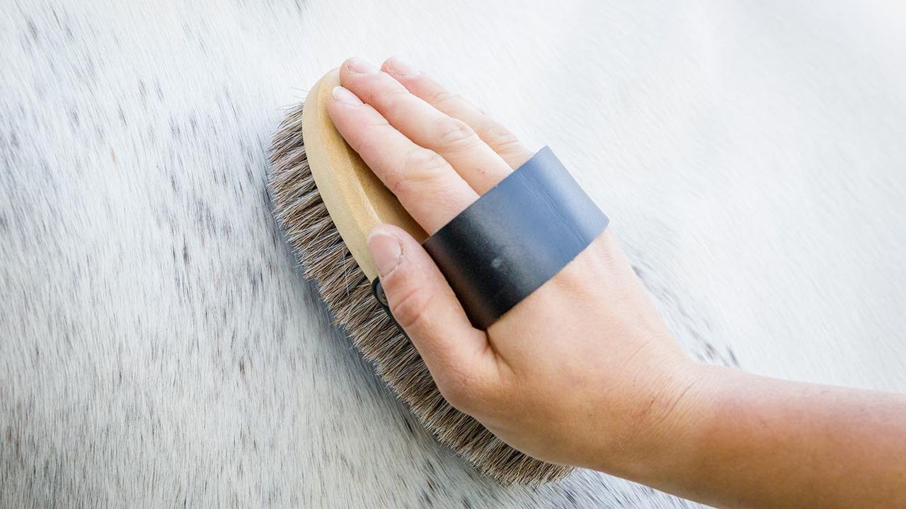 LeMieux Heritage dapple body brush review