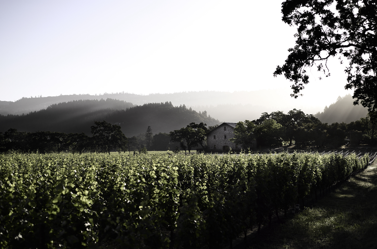 Ehlers Estate vineyards