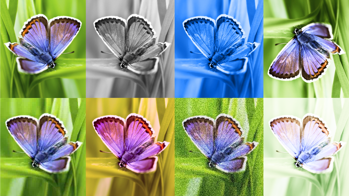 Google&#039;s SynthID distinguishing between AI-generated images of a butterfly.