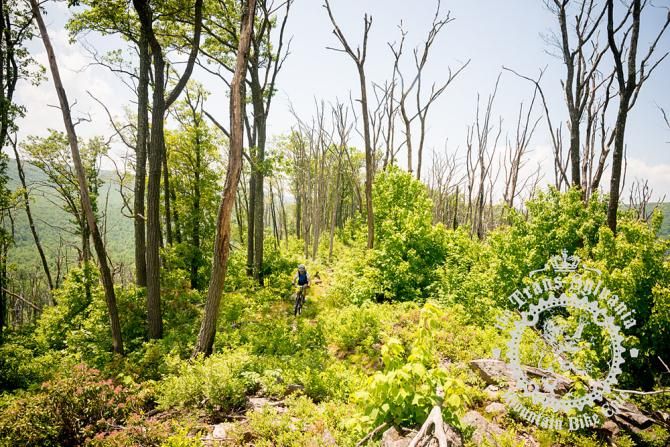 Michael Kryzytski enjoying the sun and view from the Tussey Ridge.