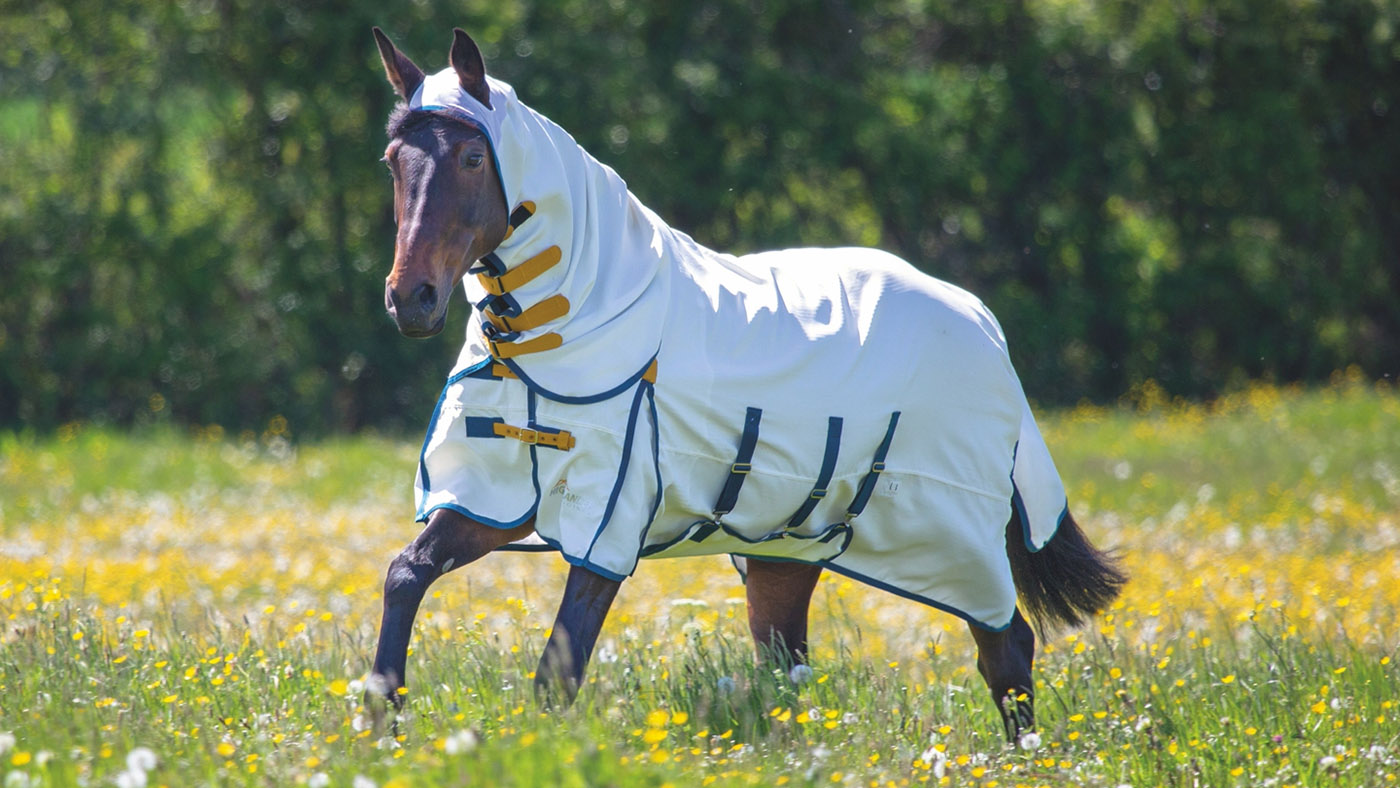 Shires Highlander Plus Sweet-Itch combo
