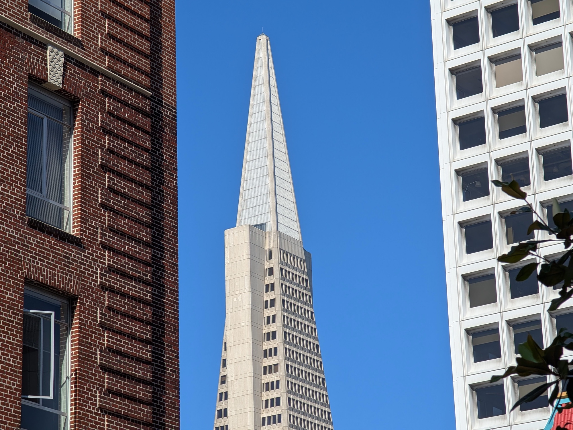 Transamerica zoom by Pixel 9 Pro