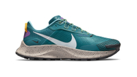 Nike Pegasus Trail 3 GORE-TEX: was £134.95, now £101.21 at Nike