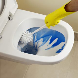 cleaning a toilet with blue toilet cleaner and a toilet brush while wearing rubber gloves