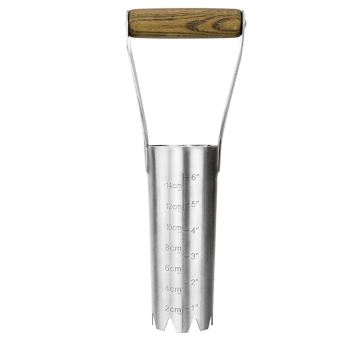Amazon bulb planter
