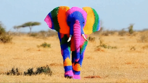 Ai created video. Rainbow colored crochet elephant walks in the savanna