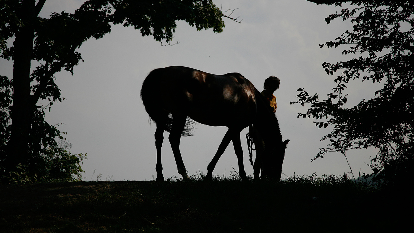 B3CRYM Silhouette of a horse and person. The horse is grazing