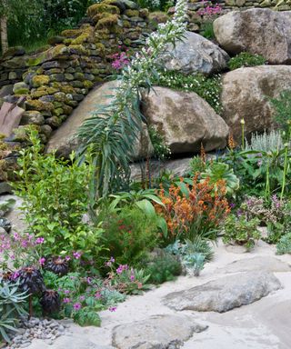 sand and rock garden with planting