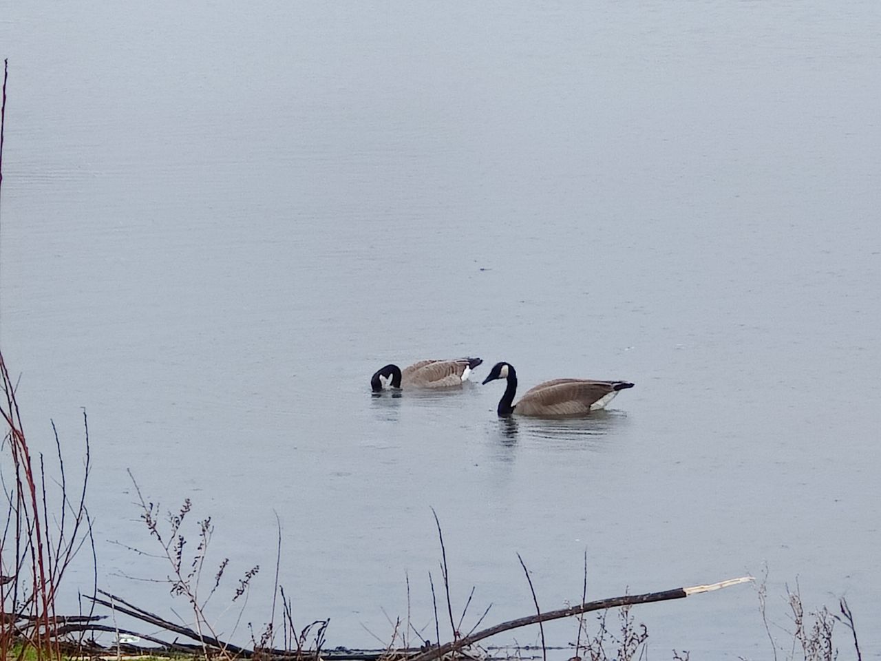 OnePlus 9 Pro camera sample