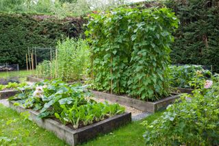 raised garden beds with sleepers