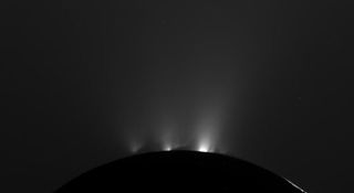 Microbes could be possible in many icy moons in our solar system, such as Saturn's Enceladus, which hosts water-ice-spewing geysers.