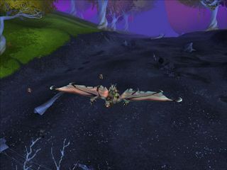 Flying over The Dead Scar in Eversong Woods