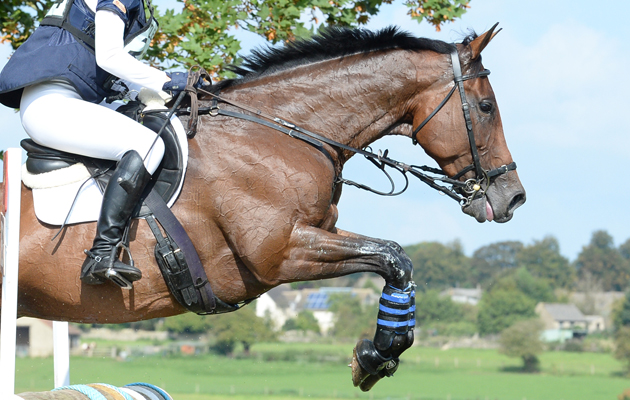horse-trials-guide.jpg
